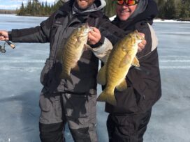 Smallmouth Bass through the Ice